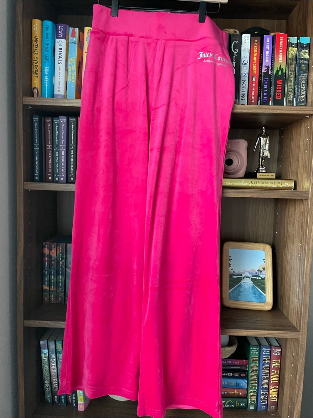 Juicy Couture Women's Hot Pink Velour Pants